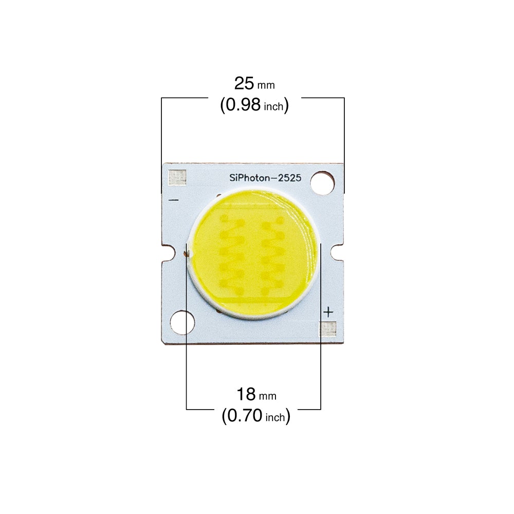 20W Constant Current COB LED Chip 6000K(Cool White)