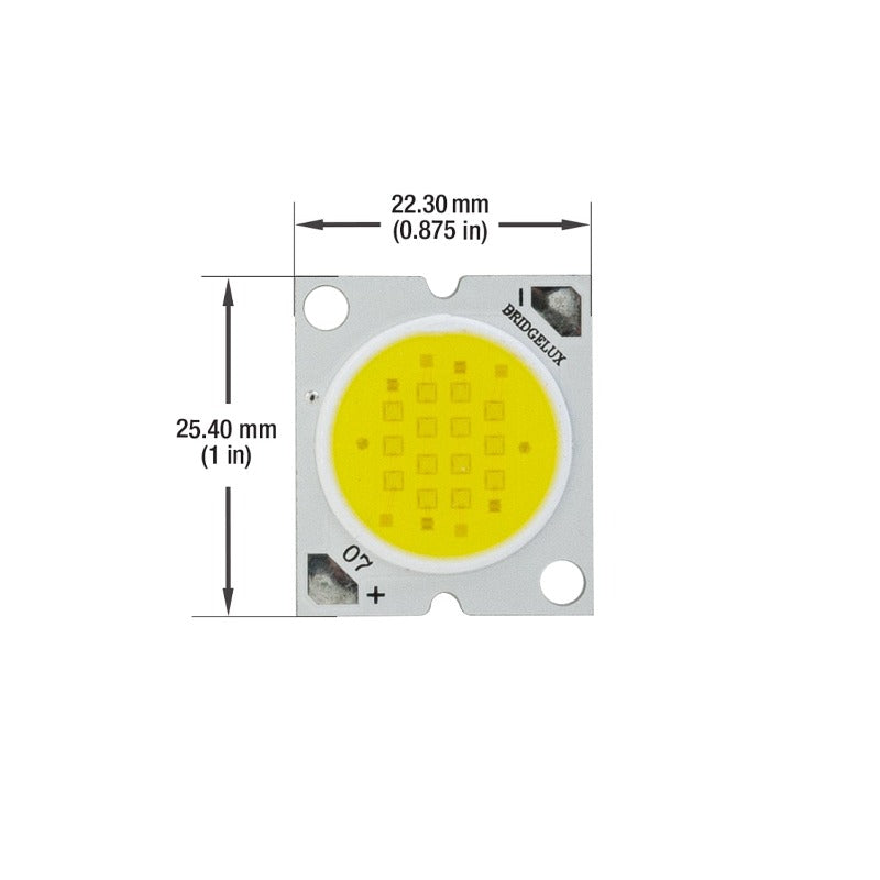 BXRA-56C1100-B Constant Current COB LED Module