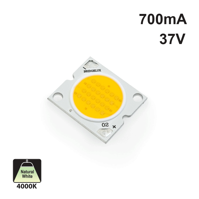 BXRA-40E2200-B Constant Current COB LED Module,