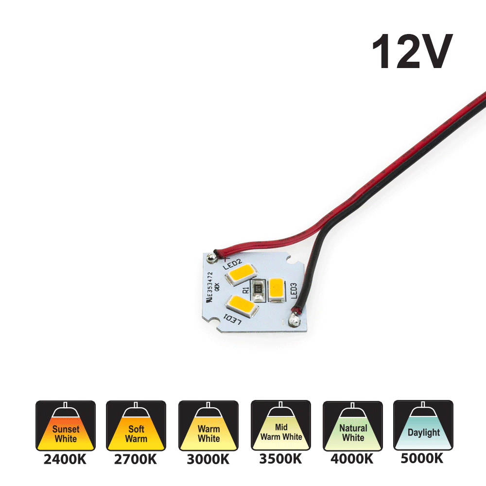 3 SMD Module 2.5W 12V With 6 inch Wire