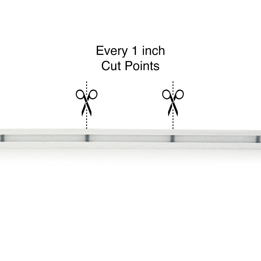 5M(16.4ft) LED Neon light Strip 24V 2.5w/ft 3000K(Warm White)