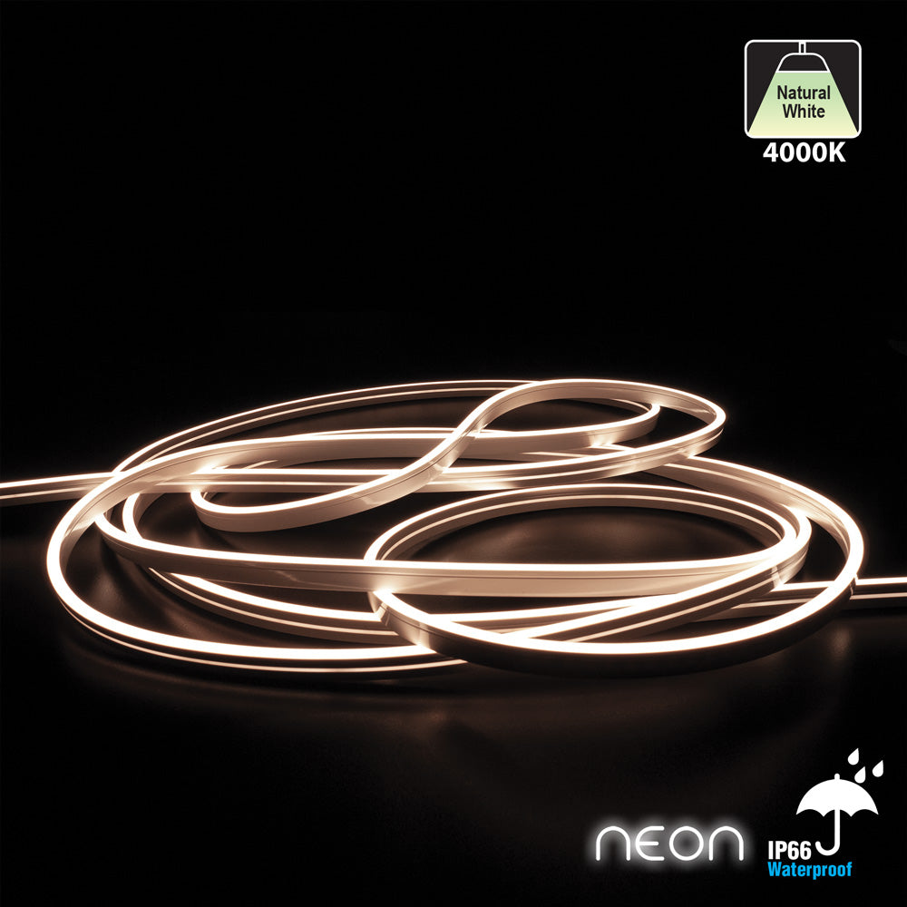 5M(16.4ft) LED Neon light Strip 24V 3.75W/ft