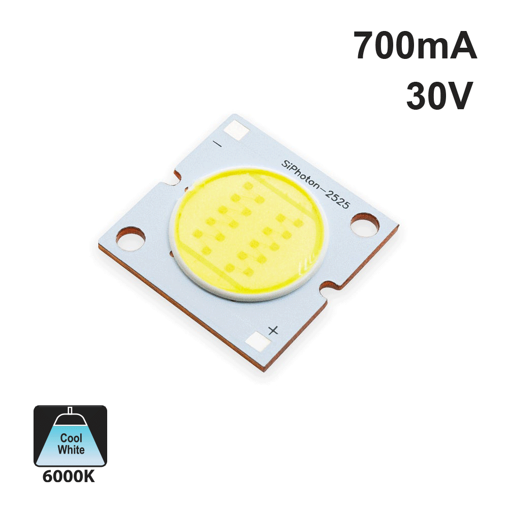 20W Constant Current COB LED Chip 6000K(Cool White), gekpower