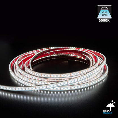 10M(32.8ft) Outdoor LED Strip Light 3528, 12V 3(w/ft) 252(Lm/ft) 6K(Cool White)