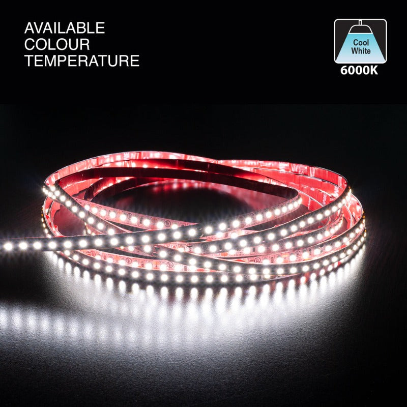 5M(16.4ft) Indoor LED Strip 3528, 12V 3(w/ft) 255-290(Lm/ft) 120(LEDs/m) 6K(Cool White) - GekPower