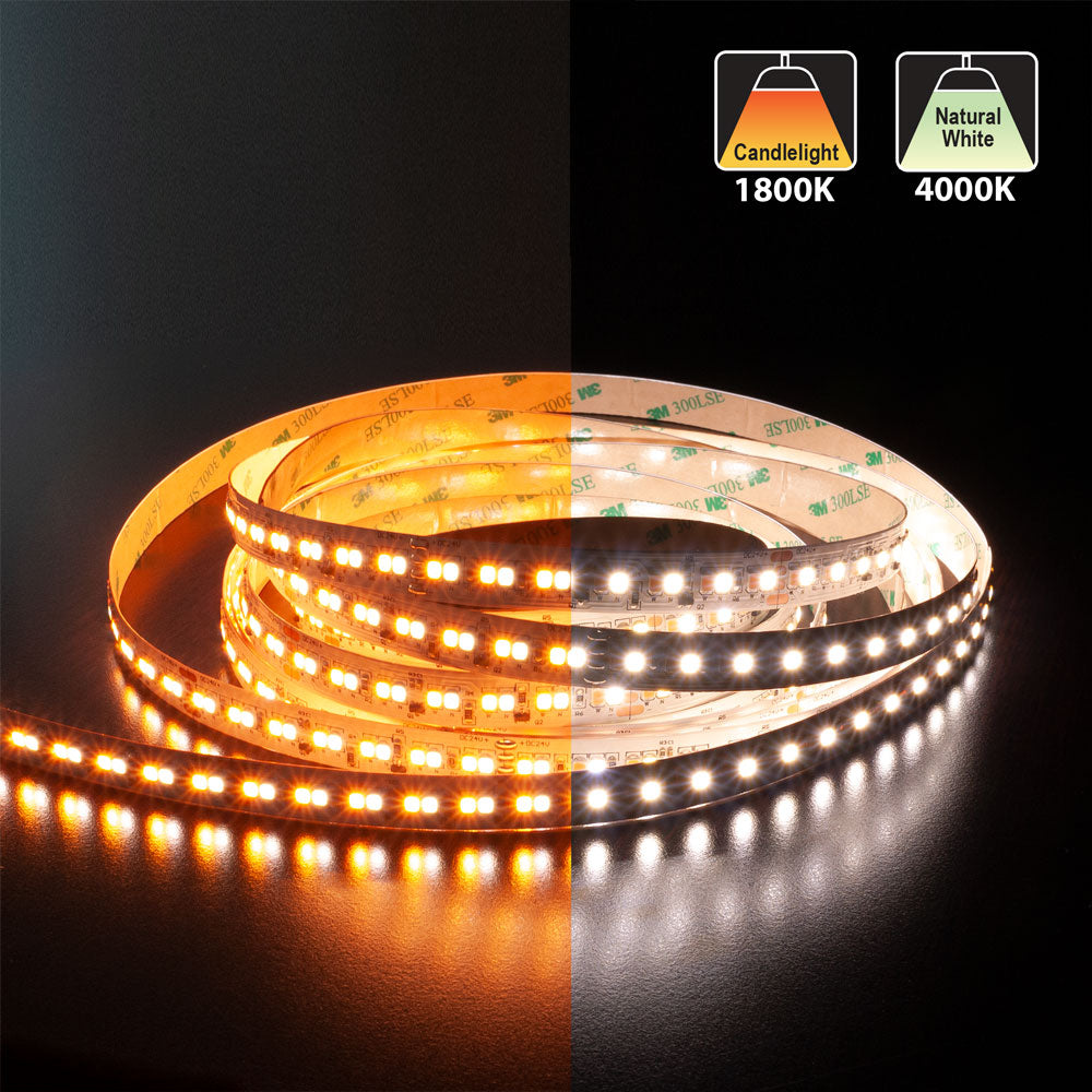 5M(16.4ft) Dim to Warm Hybrid Strip LED Strip 2835, 24V 5.5(w/ft) 196(LEDs/m) CCT(1.8K-4K Adjustable) - GekPower