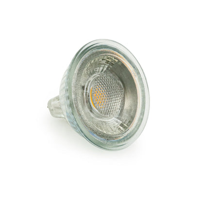 MR16 Bulb Glass type 12V 5W 3000K(Warm White)