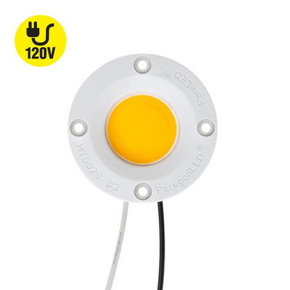 CDAC-080-05028-120-3000K COB Paragon LED Module with HT5828 LED Holder, 120V 20W 3000K, gekpower