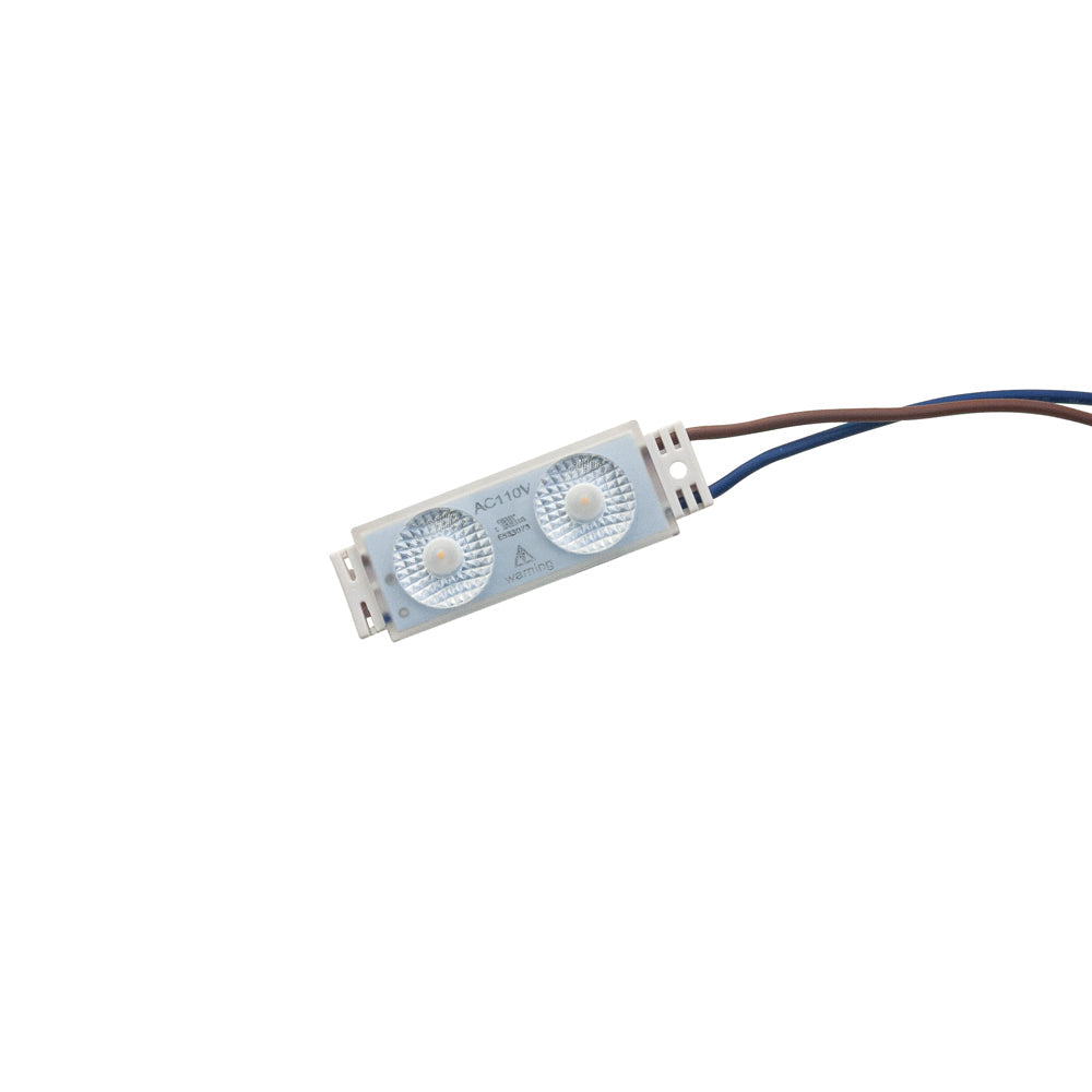 Outdoor Single LED Module, 110V 1.1W 2 LEDs, 3000K(Warm White)