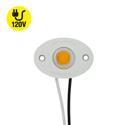 COB Paragon LED Module 120V 6W 3000K