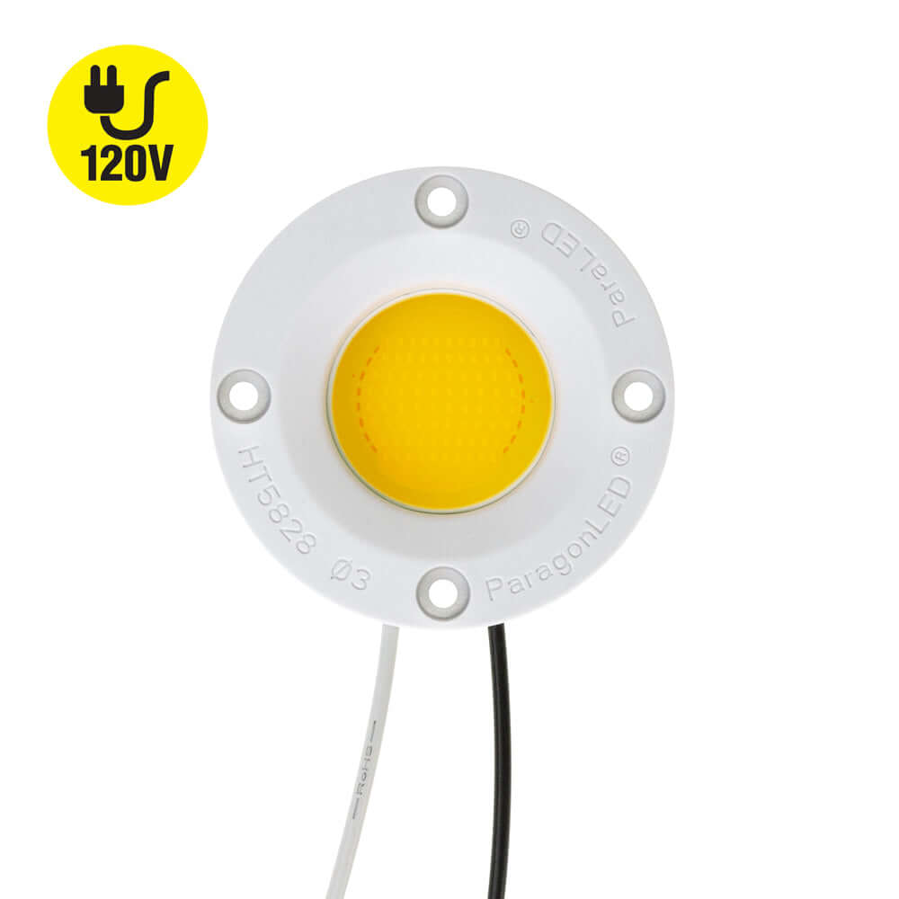 CDAC-080-5028-120-3000K LED Module with Holder