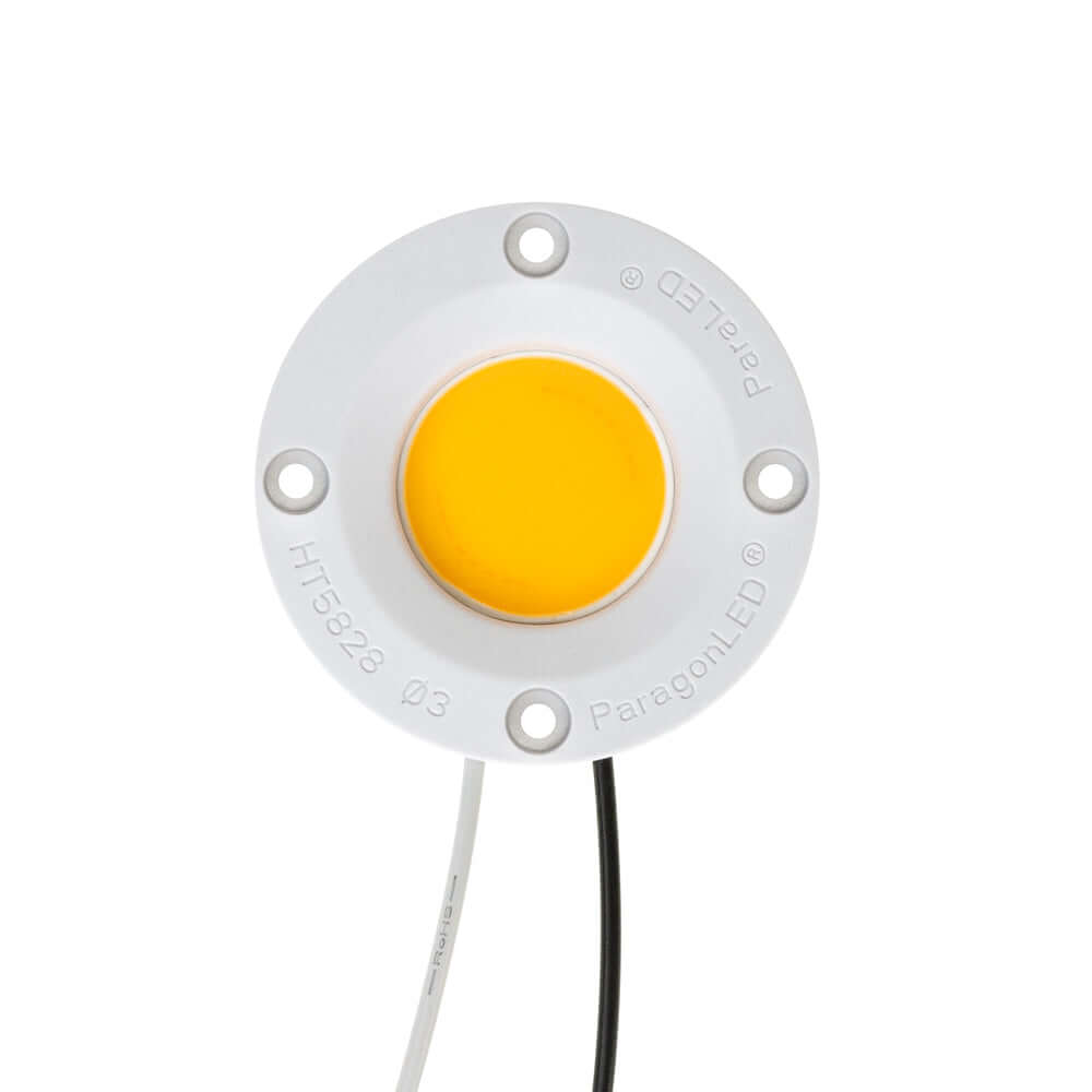 COB Paragon LED Module Light 120V 30W 3150Lm 2700K