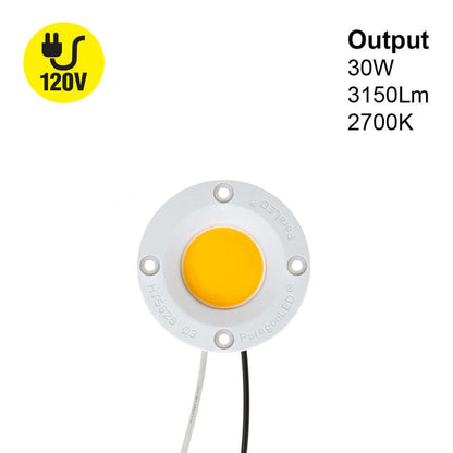 COB Paragon LED Module Light 120V 30W 3150Lm 2700K