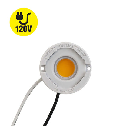 COB Paragon LED Module Light 120V 12W 1000Lm 3000K